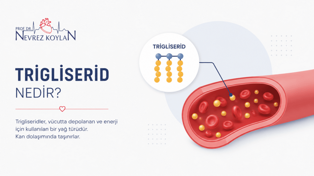 Trigliserid nedir? Kanda dolaşan trigliserid moleküllerini ve enerji depolamadaki rollerini gösteren minimalist tıbbi görsel. Yüksek trigliserid ve kalp-damar sağlığı ilişkisini anlatan eğitim amaçlı infografik.