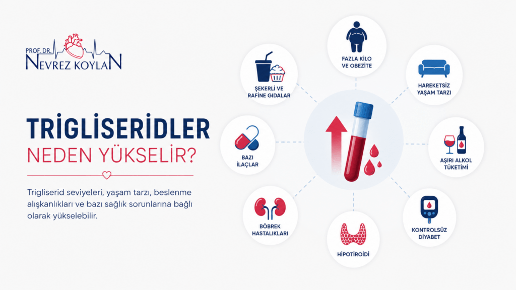 Trigliseridlerin yükselme nedenlerini gösteren minimalist sağlık infografiği.