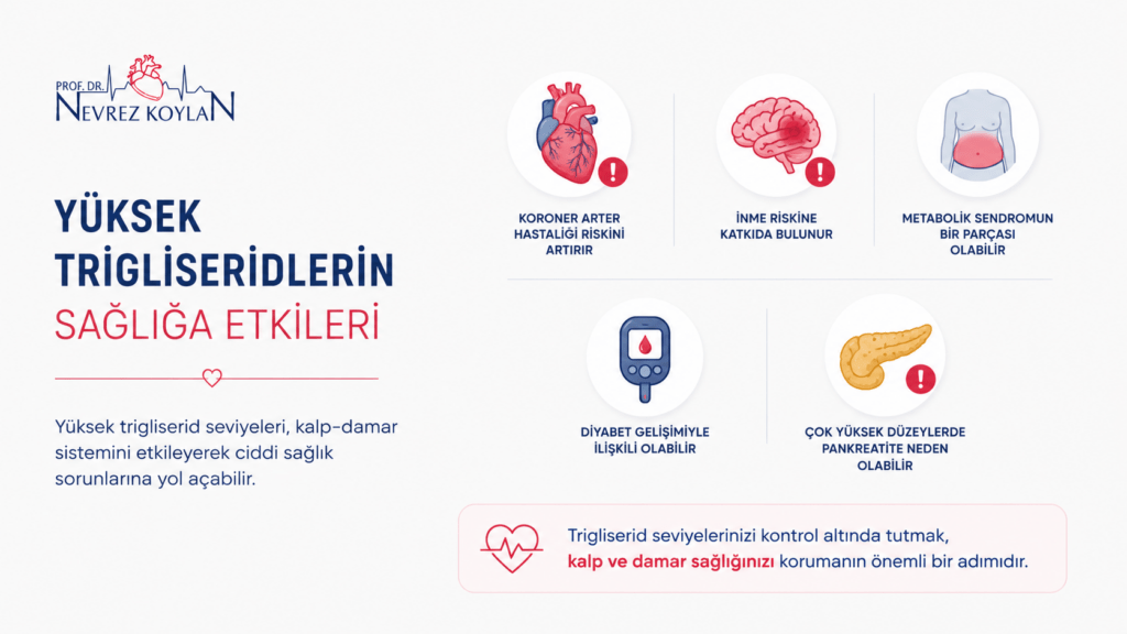 Yüksek trigliseridlerin kalp ve damar sağlığı üzerindeki etkilerini gösteren minimalist sağlık infografiği.