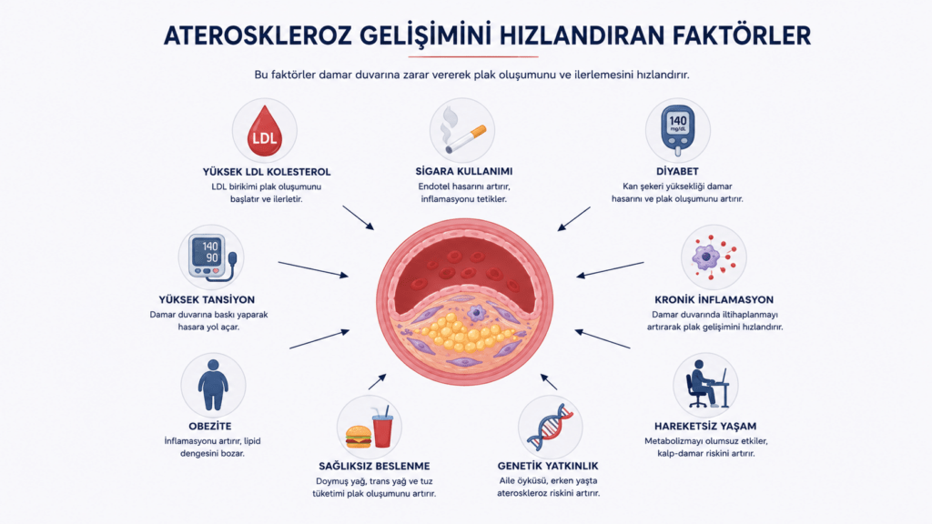 Ateroskleroz riskini artıran yüksek LDL kolesterol, diyabet, sigara kullanımı, kronik inflamasyon, obezite ve hareketsiz yaşam faktörlerini gösteren şematik görsel