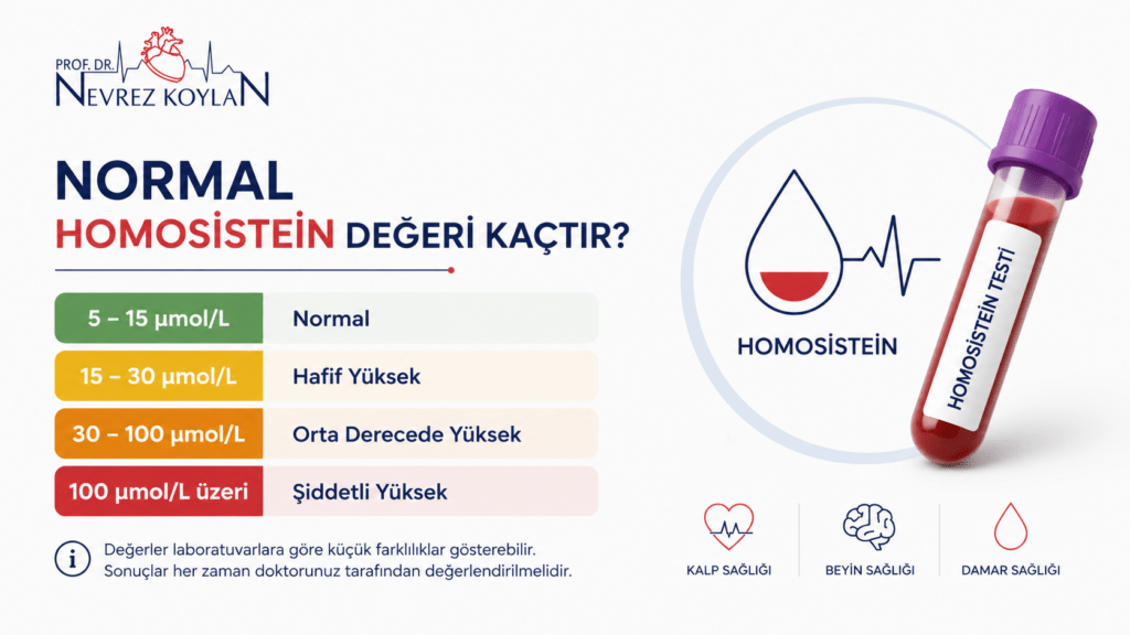 Normal homosistein değeri kaçtır sorusunu yanıtlayan, homosistein referans aralıklarını gösteren görsel.