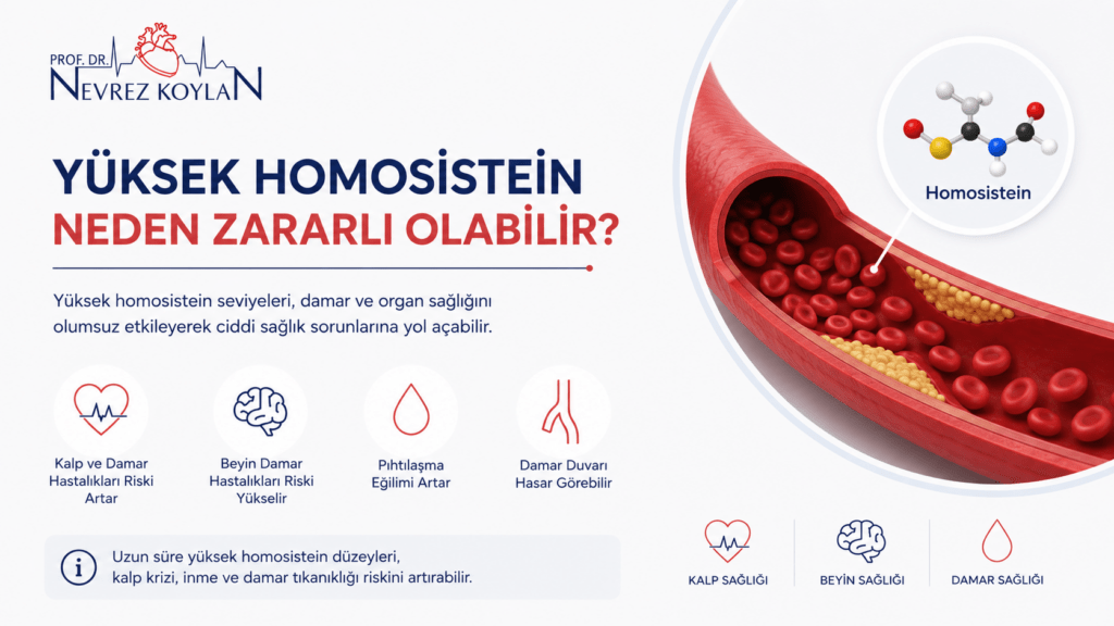 Yüksek homosisteinin damar sağlığı üzerindeki olumsuz etkilerini gösteren tıbbi infografik.