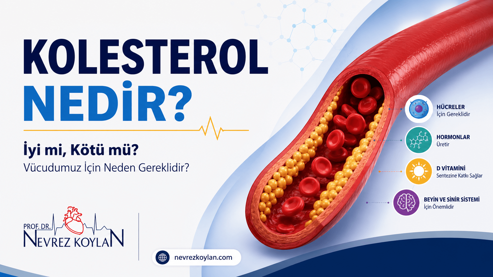 Kolesterolün hücreler, hormonlar, D vitamini ve beyin sağlığı için önemini anlatan tıbbi blog kapak görseli.