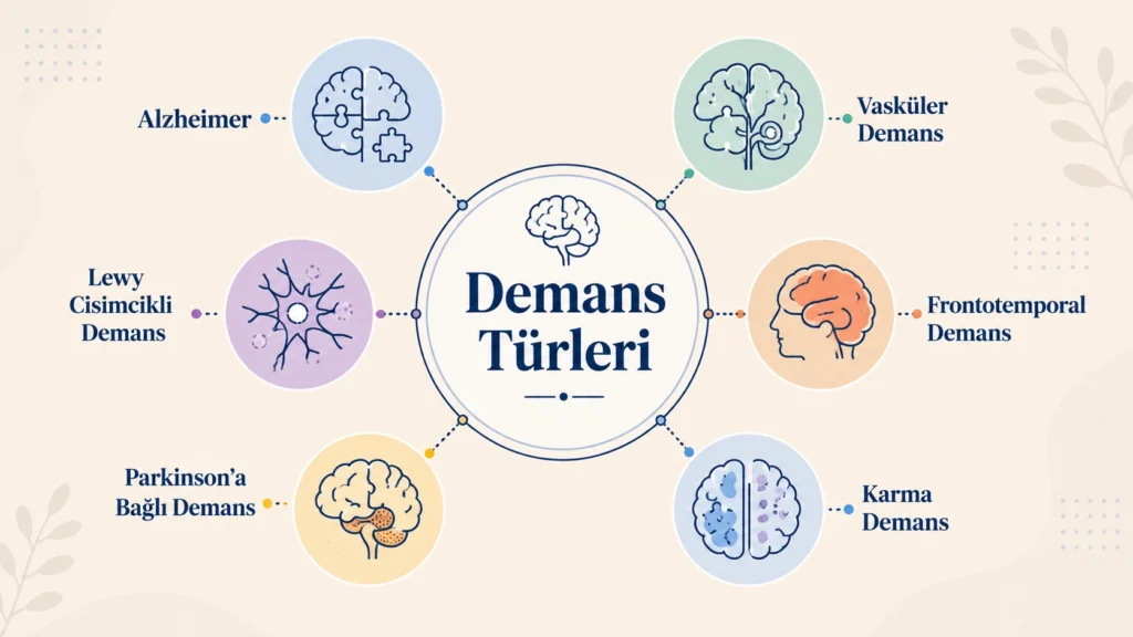 Alzheimer, vasküler, Lewy cisimcikli, frontotemporal, Parkinson'a bağlı ve karma demans türlerini gösteren tıbbi infografik