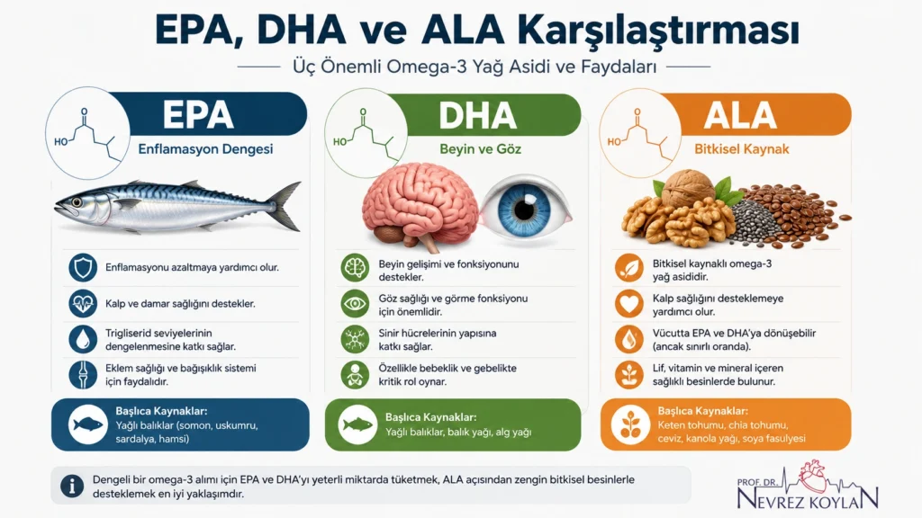 EPA, DHA ve ALA omega-3 yağ asitlerinin temel özelliklerini, kaynaklarını ve sağlıkla ilişkilerini karşılaştıran infografik