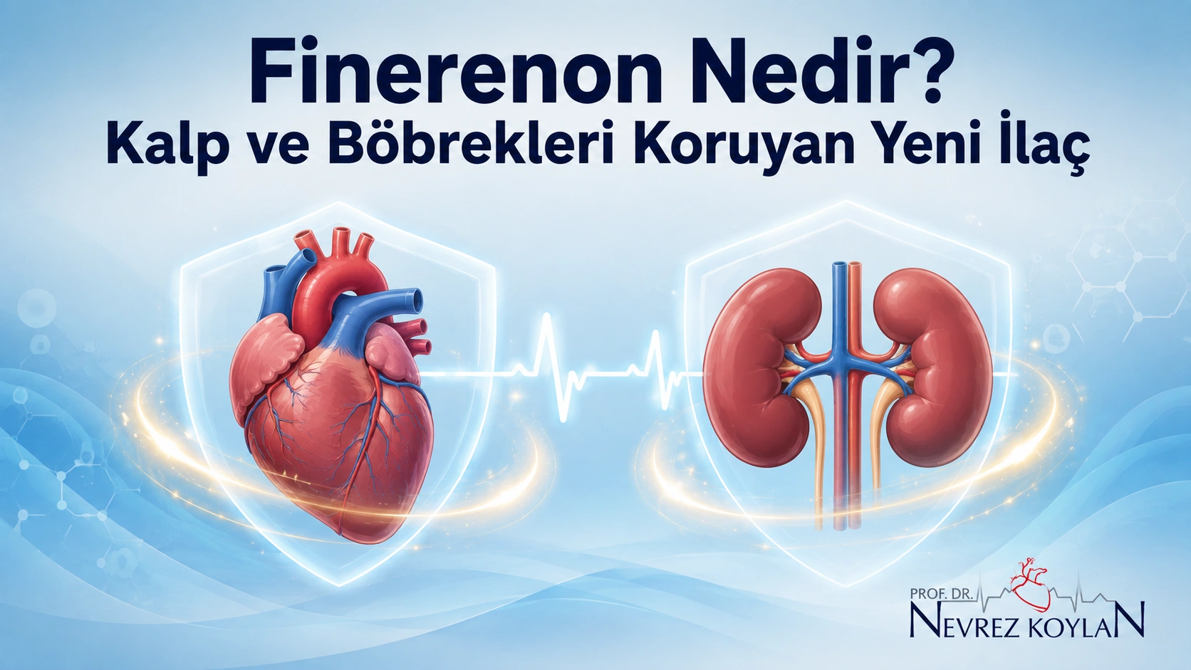 Finerenonun kalp ve böbrekleri korumadaki rolünü simgeleyen kalp ve böbrek illüstrasyonları arasında EKG çizgisi bulunan tıbbi blog kapak görseli