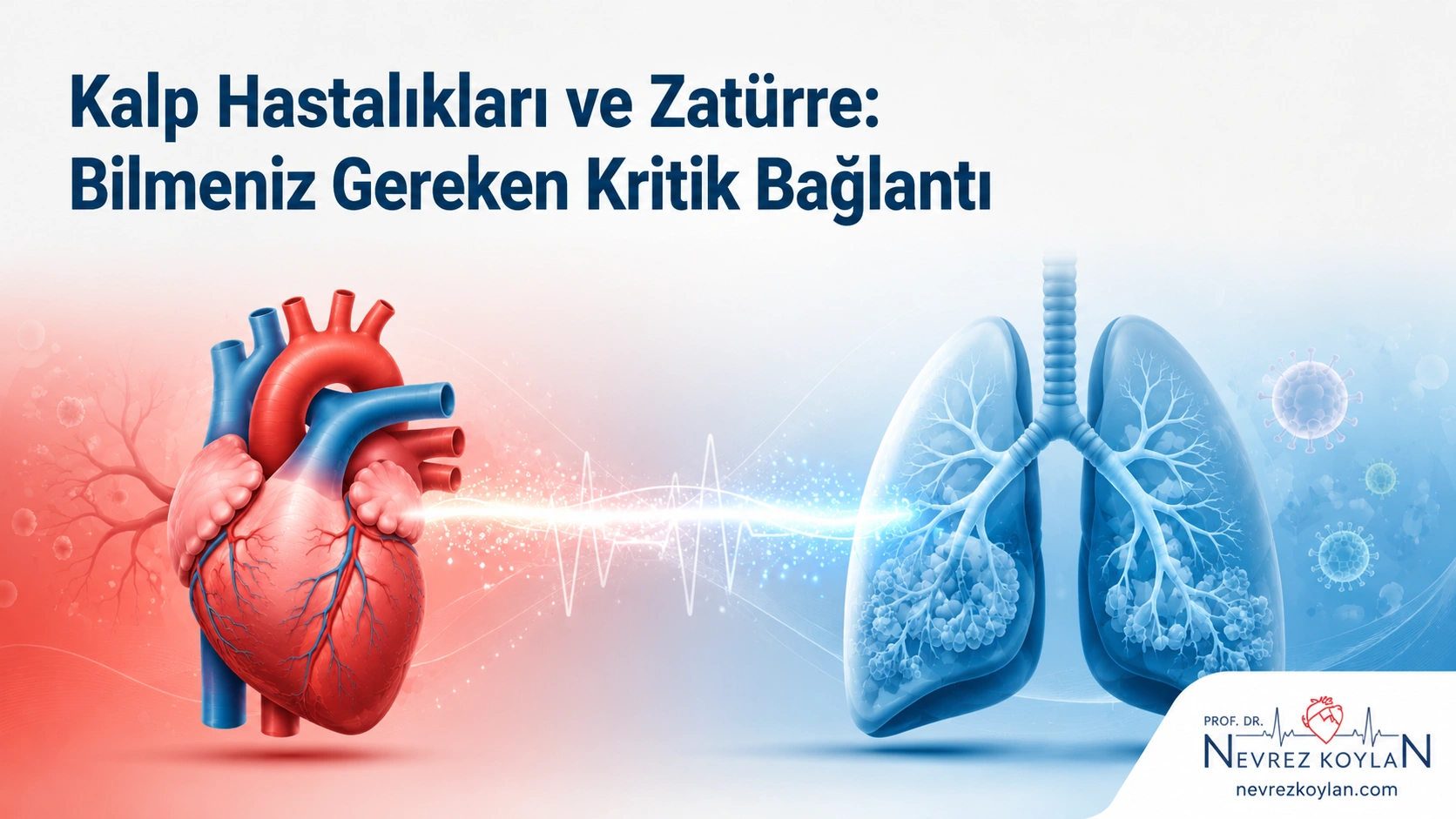 Kalp hastalıkları ile zatürre arasındaki kritik bağlantıyı simgeleyen anatomik kalp ve akciğerler arasında EKG dalgası bulunan tıbbi blog kapak görseli