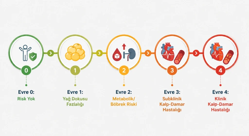 Kardiyometabolik riskin Evre 0’dan Evre 4’e ilerleyişini; risk yok, yağ dokusu fazlalığı, metabolik ve böbrek riski, subklinik ve klinik kalp-damar hastalığı aşamalarıyla gösteren tıbbi infografik