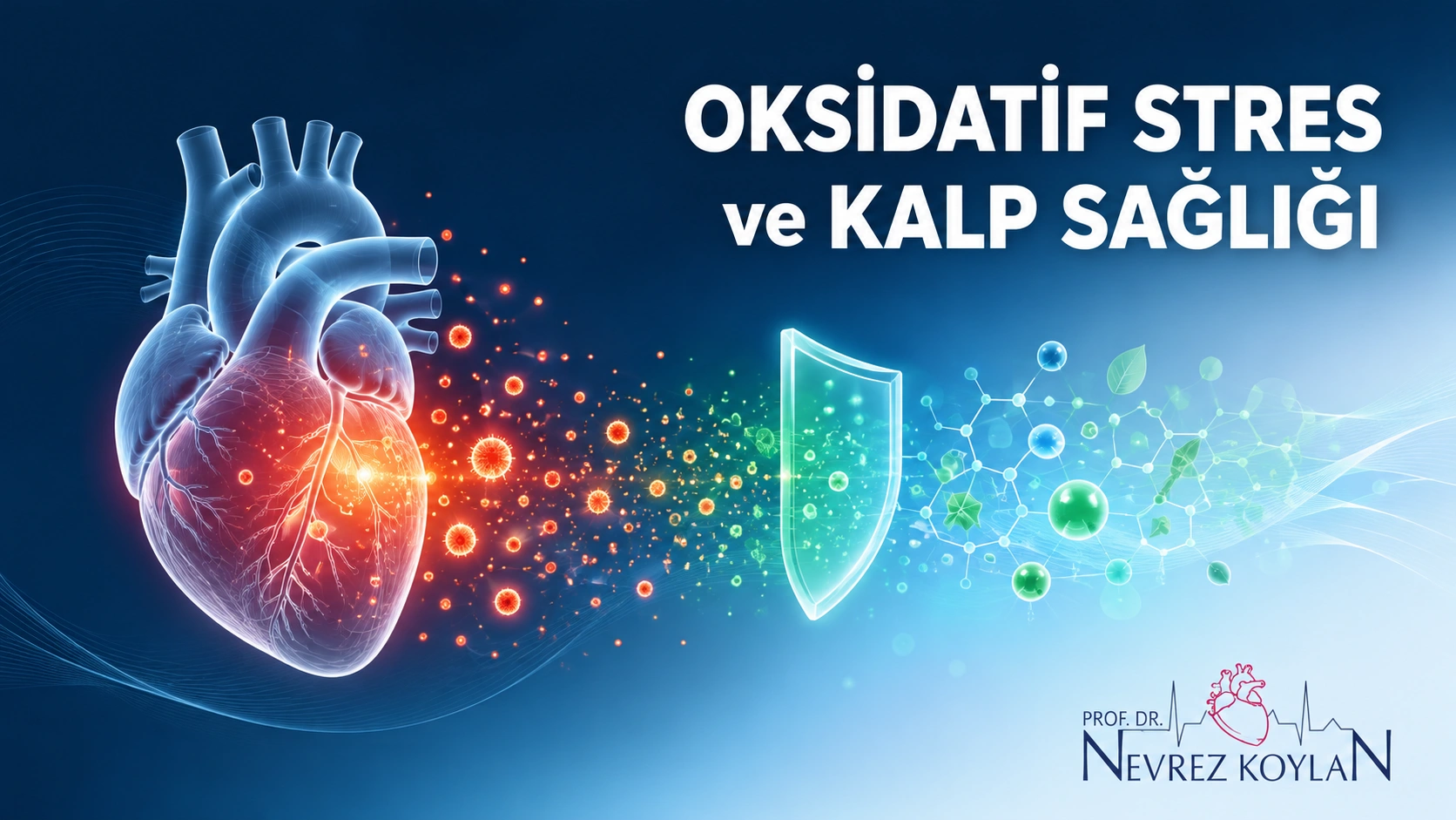Oksidatif stres ve kalp sağlığı ilişkisini gösteren, serbest radikal ve antioksidan dengesini simgeleyen editoryal kapak görseli