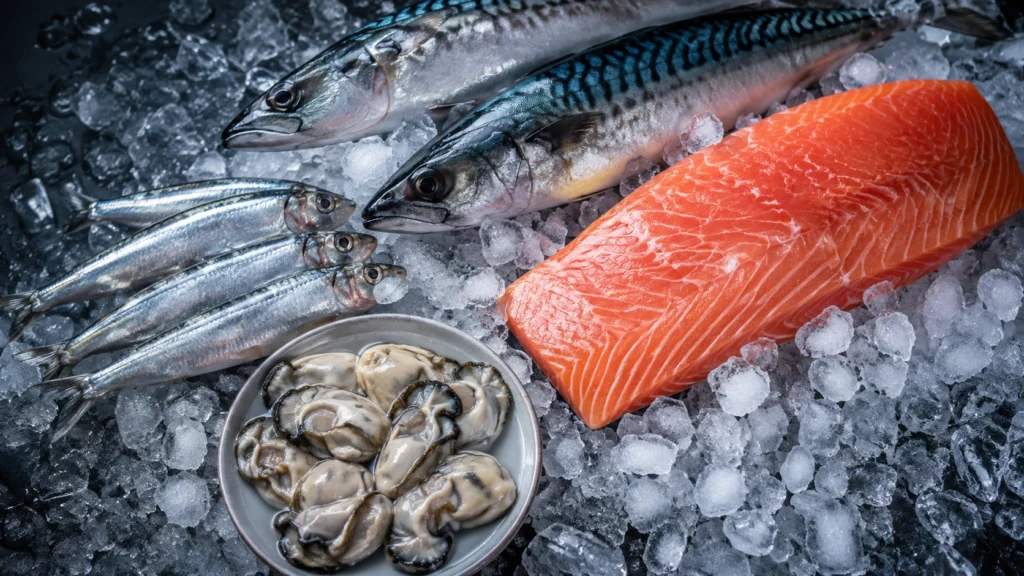 Buz üzerinde somon, sardalya, uskumru ve istiridye ile omega-3 bakımından zengin deniz ürünlerini gösteren besin görseli