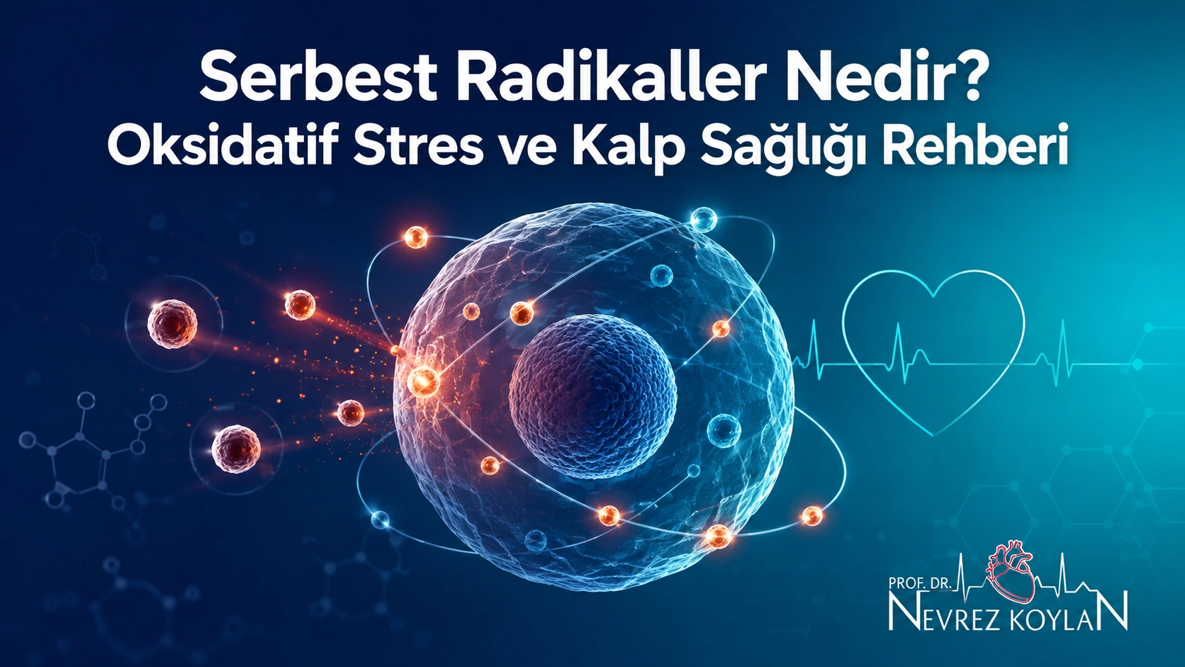 Serbest radikallerin hücresel oksidatif stres üzerindeki etkisini ve kalp sağlığıyla ilişkisini gösteren hücre, molekül ve EKG temalı tıbbi blog kapak görseli