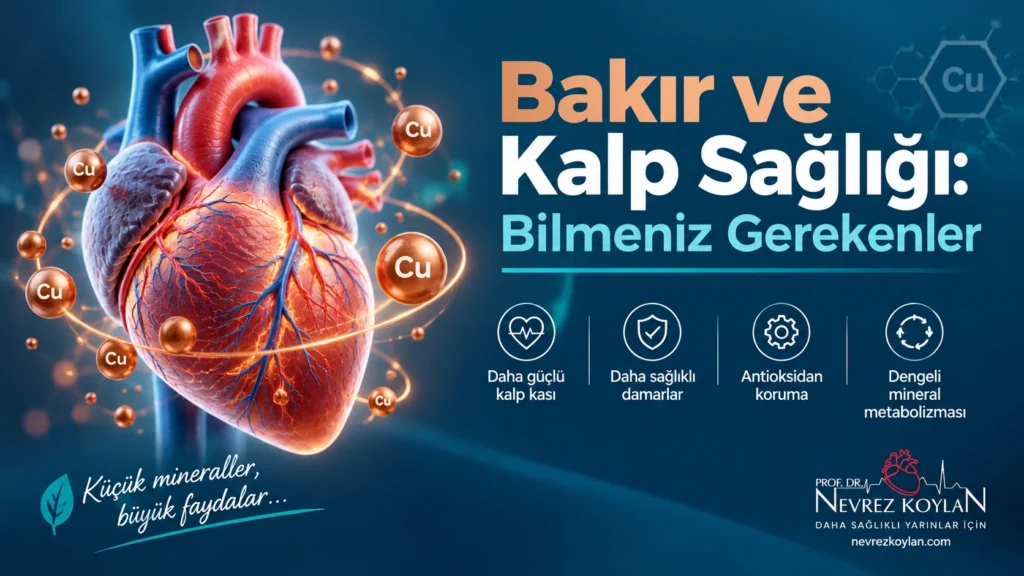 Bakır ve kalp sağlığı ilişkisini gösteren kardiyoloji temalı kapak görseli