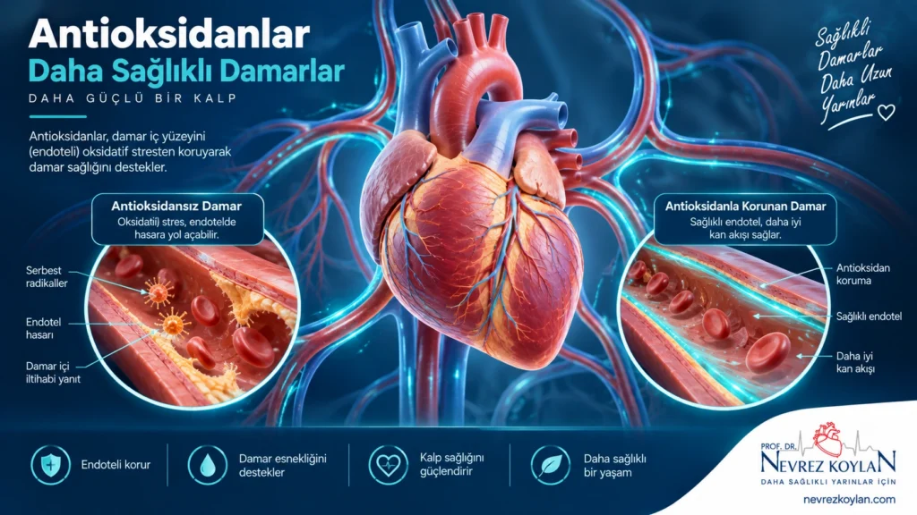 C vitamininin kalp ve damar sağlığı üzerindeki etkisini gösteren kalp illüstrasyonu