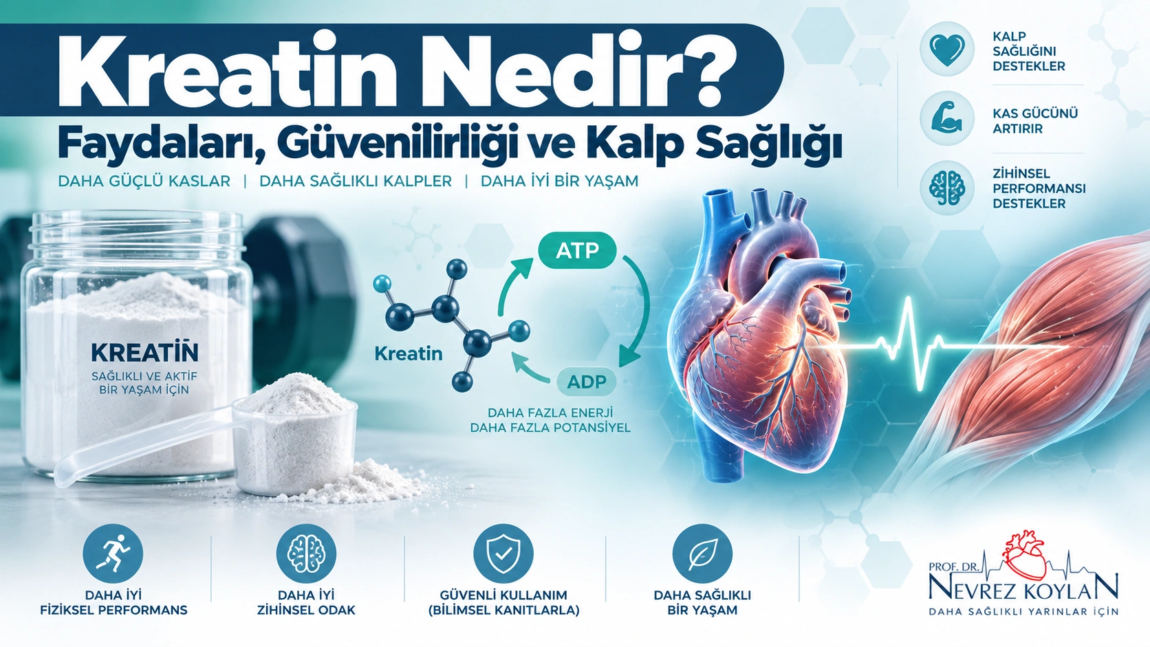 Kreatin nedir, faydaları ve kalp sağlığına etkisini gösteren kapak görseli