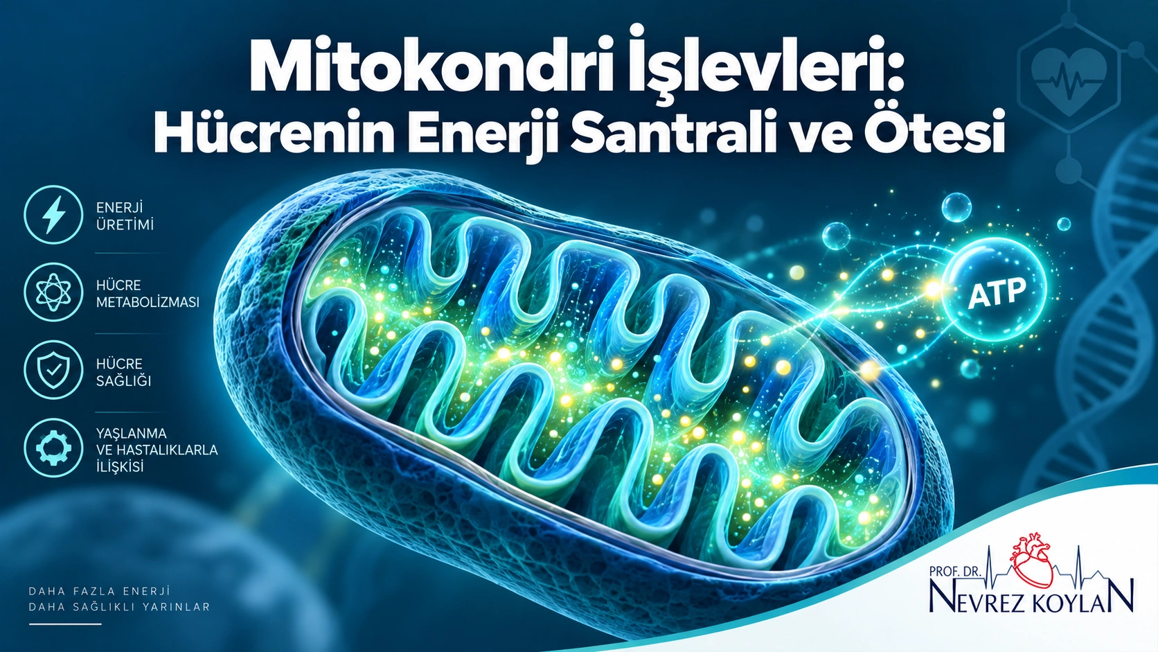Mitokondri işlevleri kapak görseli - hücre enerji santrali illüstrasyonu