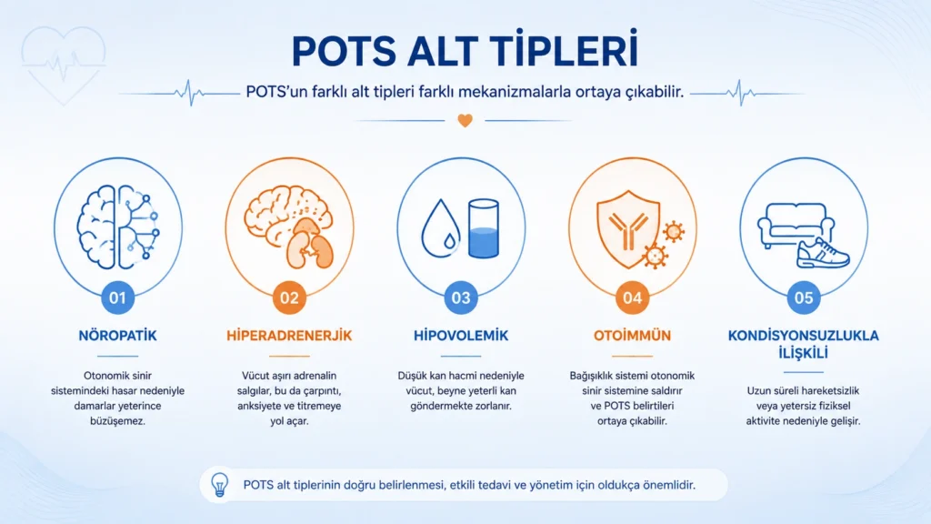 POTS'un beş alt tipini gösteren sınıflandırma şeması