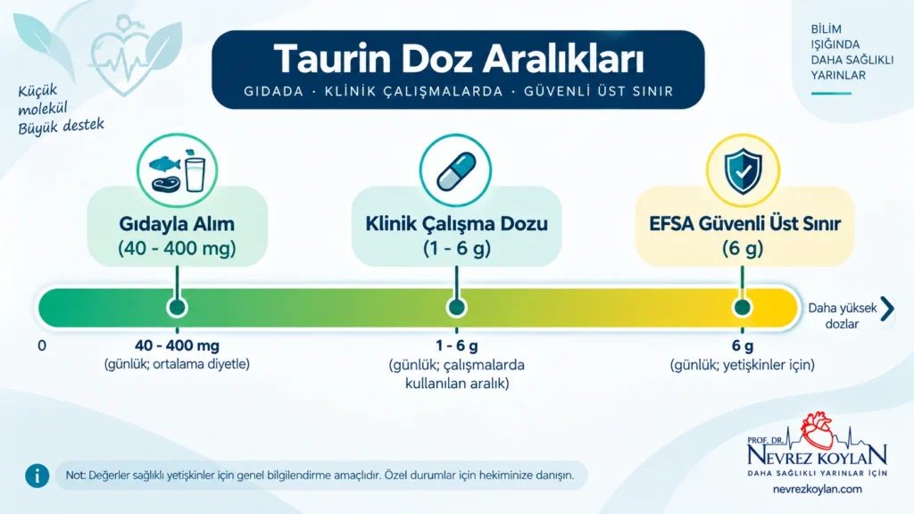 Taurin için güvenli günlük doz aralığını gösteren gösterge/skala görseli
