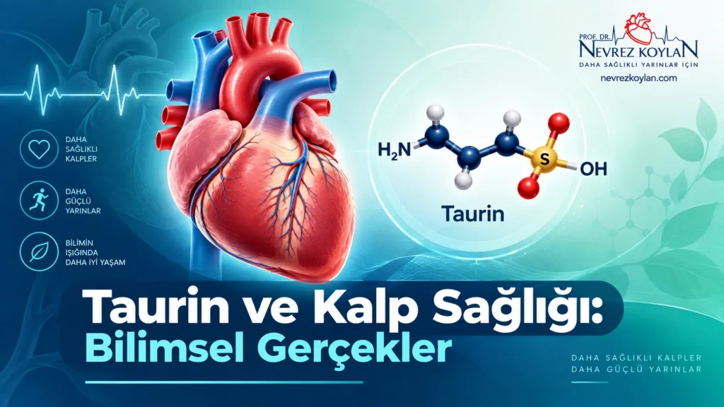 Taurin ve kalp sağlığı ilişkisini gösteren, insan kalbi ve amino asit molekül şeması içeren kapak görseli