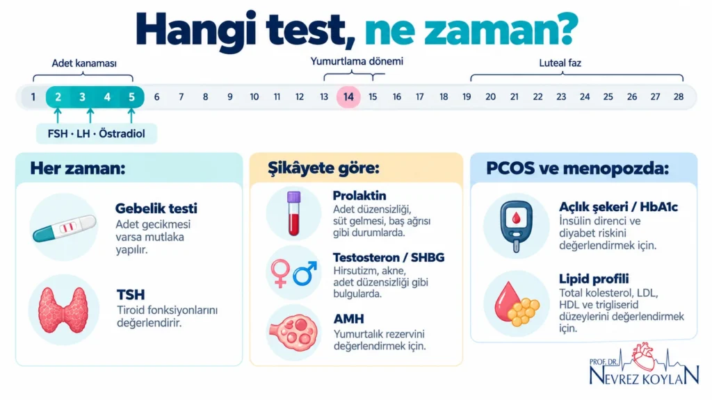 Adet döngüsünün 2.–5. günlerinde yapılan FSH, LH ve östradiol testlerini ve diğer hormon testlerini gösteren infografik.