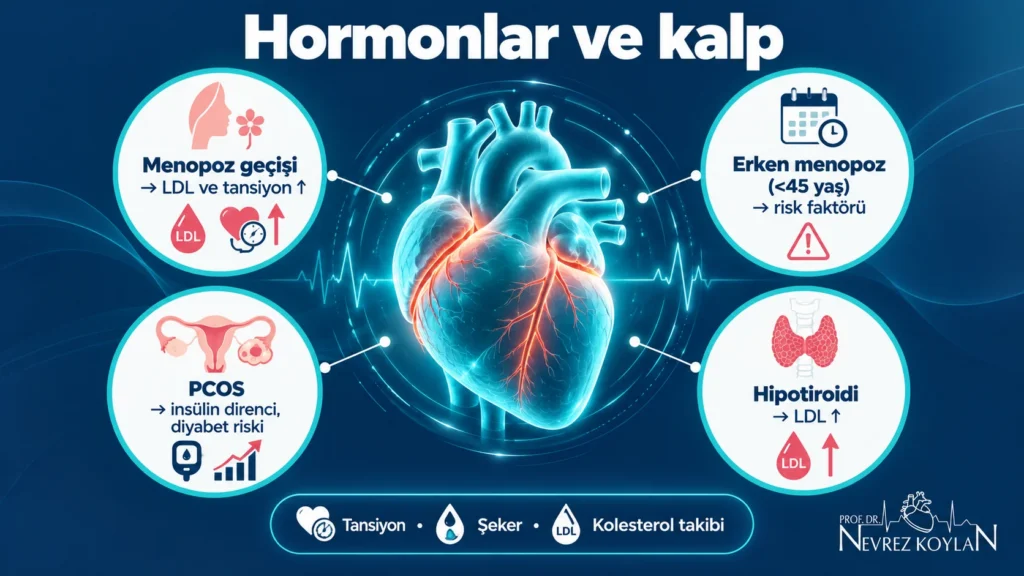Menopoz, erken menopoz, PCOS ve hipotiroidinin kalp-damar riskiyle ilişkisini gösteren infografik.