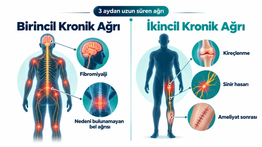 Kronik ağrı: nedenleri, kalbe etkisi ve güncel tedavi – boynunu ve belini tutan orta yaşlı kadın, arka planda kalp ritmi çizgisi